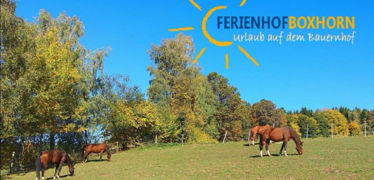 Woferlhof, Ferienhof Boxhorn 보브라흐 외부 사진