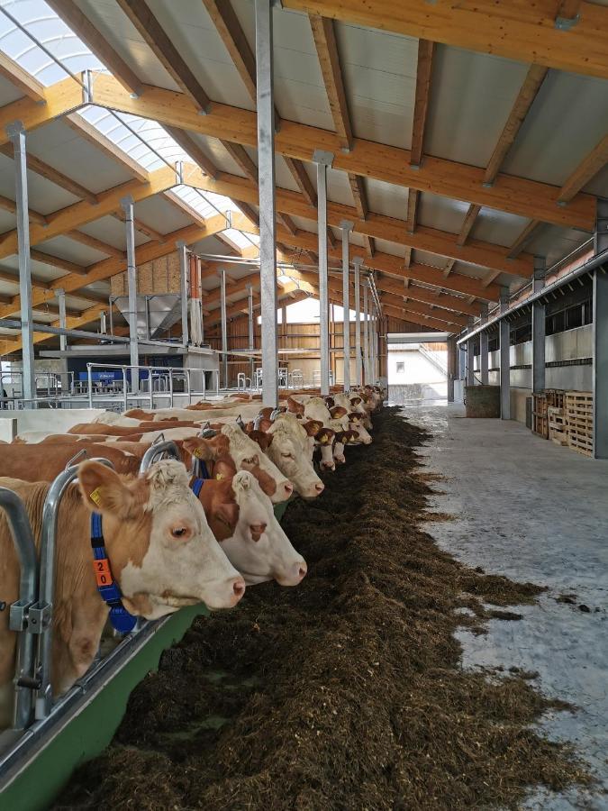 Woferlhof, Ferienhof Boxhorn 보브라흐 외부 사진