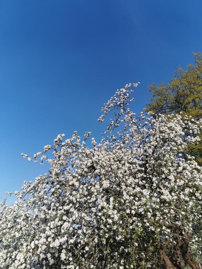 Woferlhof, Ferienhof Boxhorn 보브라흐 외부 사진